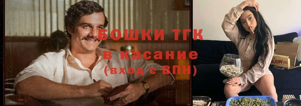прущие крисы Алексеевка