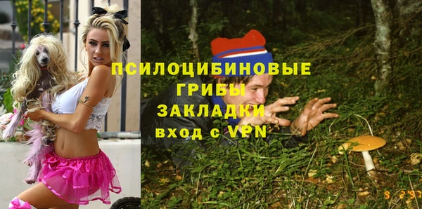 прущие крисы Алексеевка